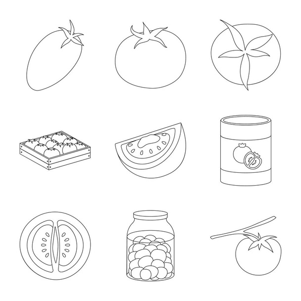 Vector design of tomat and diet logo. Set of tomat and agriculture vector icon for stock. - Vector, imagen