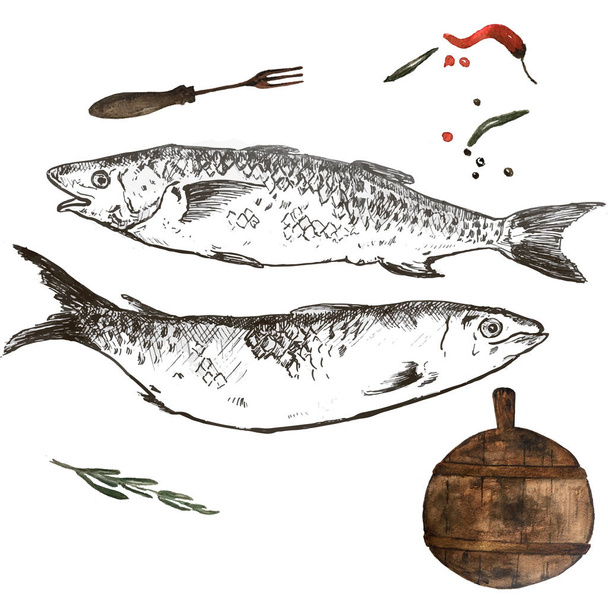 Pilchard Sardine Hand Drawn Illustration sketch with watercolor cutting board for menus and postcards - Fotoğraf, Görsel
