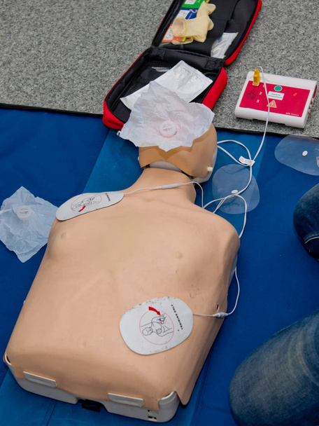 Bambola manichino realistico simulatore di formazione manichino per procedura medica, pronto soccorso, CPR, auscultazione, ecc
. - Foto, immagini