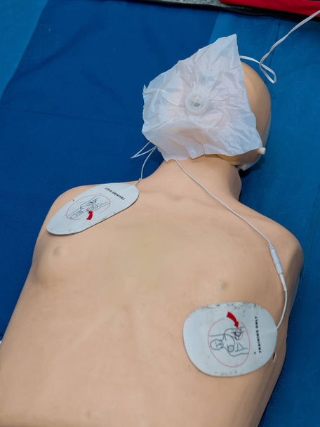 Realistinen koulutus simulaattori nukke mallinukke lääketieteelliseen menettelyyn, ensiapu, CPR, auskultaatio, jne
. - Valokuva, kuva