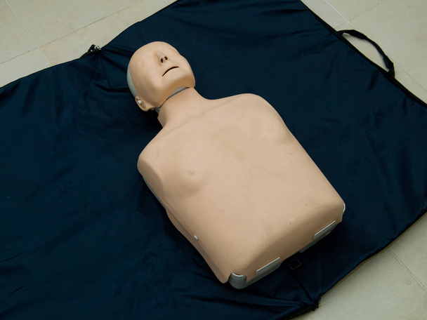 Realistic training simulator dummy mannequin doll for medical procedure, first aid, CPR, auscultation, etc. - Foto, imagen