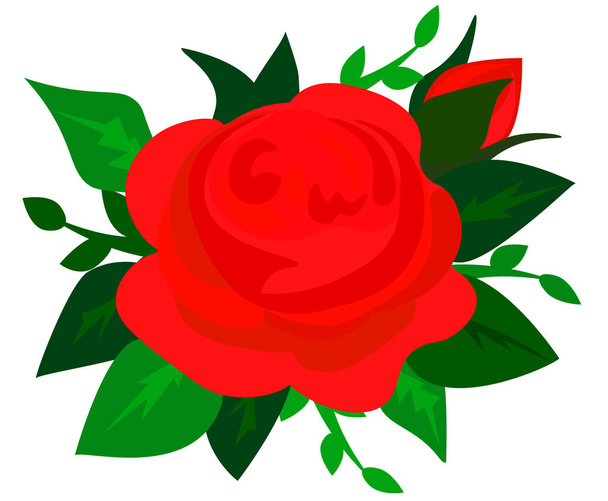 Beautiful red rose isolated on white. Perfect for background greeting cards and invitations of the wedding, birthday, Valentine's Day, Mother's Day. - Vector, imagen