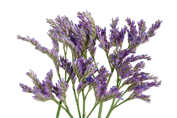 Dies ist ein Kraut zur Dekoration von Sträußen, die mit kleinen violetten Blüten blühen - Foto, Bild