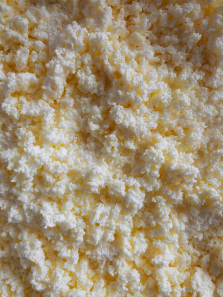 Food background- layer of nonfat cottage cheese closeup  - Photo, Image