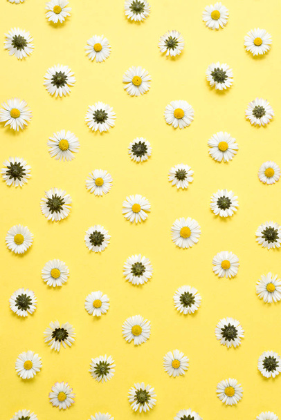 Flowers composition. Pattern made of chamomiles, petals on pastel yellow background. Spring, summer concept. Flat lay, top view, copy space - Fotoğraf, Görsel