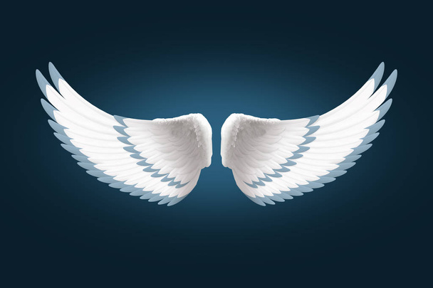 geniş açık gerçekçi melek kanatları - Fotoğraf, Görsel