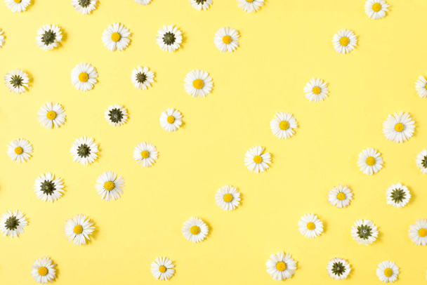 Frame made of chamomiles, petals on pastel yellow background. Spring, summer concept. Flat lay, top view, copy space - Foto, imagen