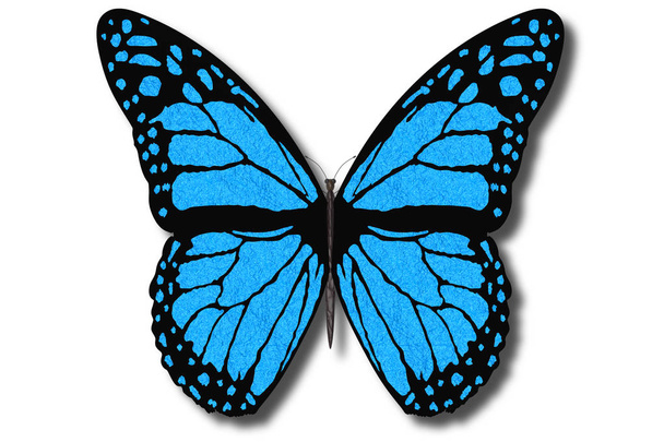  3D illustratie. Kleurrijke vlinder vliegt met open vleugels op een witte achtergrond - Foto, afbeelding