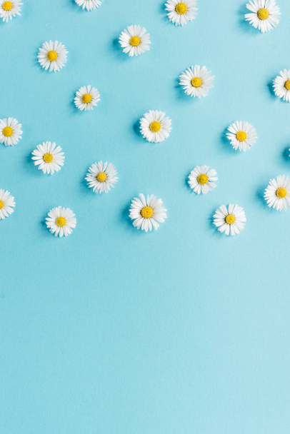 Flowers composition. Pattern made of chamomile flowers on pastel blue background. Spring, summer concept. Flat lay, top view, copy space - Foto, afbeelding