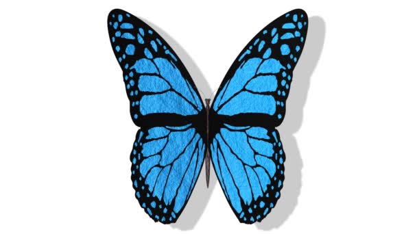 Videos. 3D-Illustration. Bunte Schmetterling fliegt mit offenen Flügeln auf weißem Hintergrund. - Filmmaterial, Video