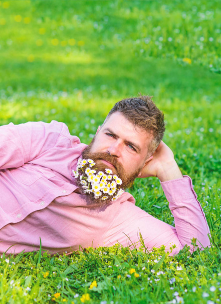 Man with beard on calm face enjoy nature. Relaxation concept. Hipster with bouquet of daisies in beard relaxing. Bearded man with daisy flowers in beard lay on meadow, lean on hand, grass background - Valokuva, kuva
