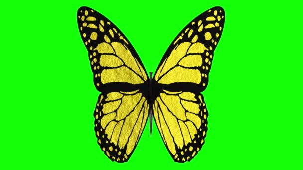 Vídeos. Ilustración 3D. Mariposa colorida vuela con alas abiertas sobre un fondo clave de croma. - Metraje, vídeo
