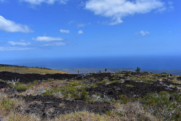 Antiga cratera vulcânica na floresta havaiana cresceu de volta em torno dos lados e granjeira começando a romper a rocha vulcânica áspera
 - Foto, Imagem