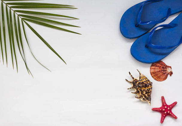 Тропічний фон пальмового листя з морськими мушлями і зірками і жіночими сланцями для пляжного сезону
 - Фото, зображення