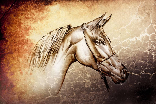 Рисунок головы лошади свободной рукой
 - Фото, изображение