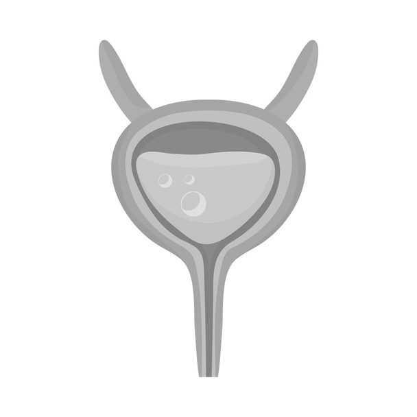 Isolated object of incontinence and bladder symbol. Set of incontinence and urine  vector icon for stock. - Wektor, obraz