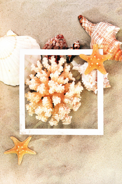貝殻、サンゴとヒトデとビーチ砂のトップビュー。夏の背景コンセプト. - 写真・画像