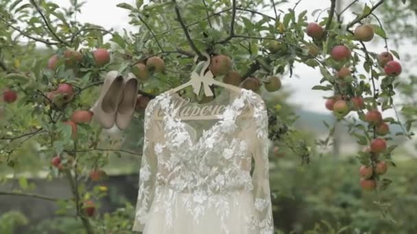 Gelinler elbise bir elma ağacında asılı. Çok güzel ve zarif. Düğün - Video, Çekim