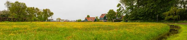 Niitty ja talot vanhassa hollantilaiskylässä. Keltaiset kukat. harmaakloori
 - Valokuva, kuva
