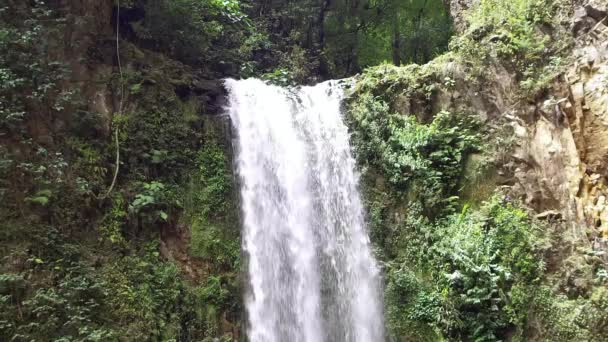 Большой красивый водопад водные растения и скалы
 - Кадры, видео