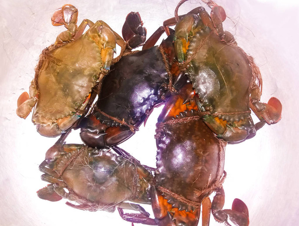 Crabes frais naturels
 - Photo, image
