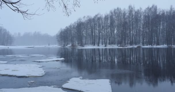 V zimní krajině na břehu řeky se ve vodě odrazuje lesní krajina - Záběry, video