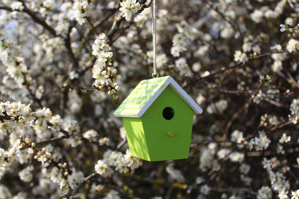 karmnik dla ptaków w kwitnącym krzaku - Zdjęcie, obraz