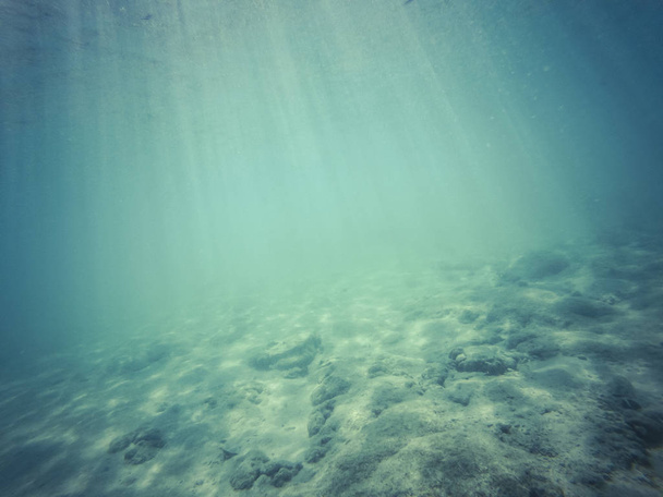 bleu tropical océan fond sous-marin - luxe nature patter
 - Photo, image