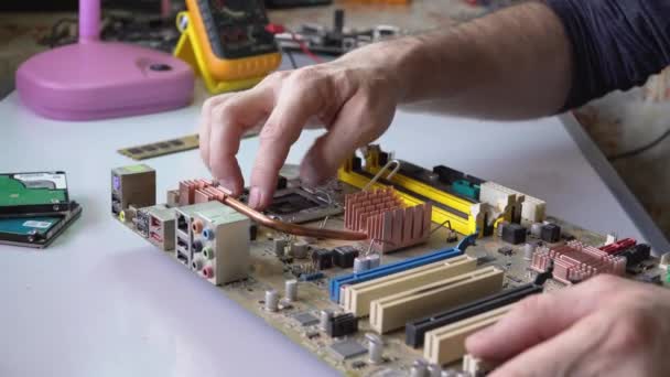 電子技術者がマザーボードを組み立てる。Pc の修理。インストールプロセッサ - 映像、動画