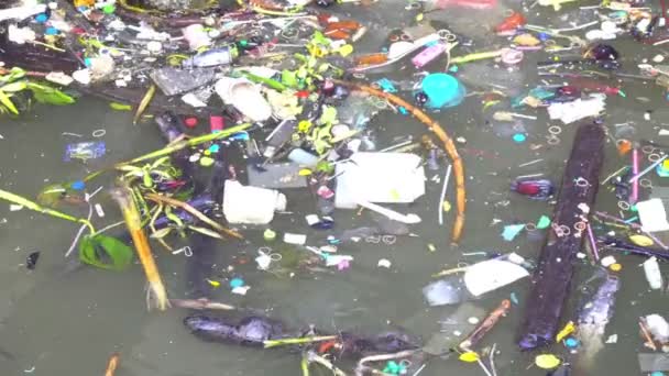 Garbage, water pollution Environmental problems caused by waste - Footage, Video