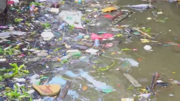 Garbage, water pollution Environmental problems caused by waste - Footage, Video