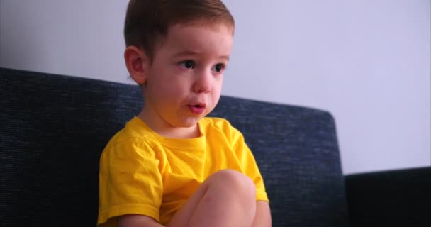 Cute Young Little Child Watching Television on a Living Room Couch Before Sleep. - Imágenes, Vídeo