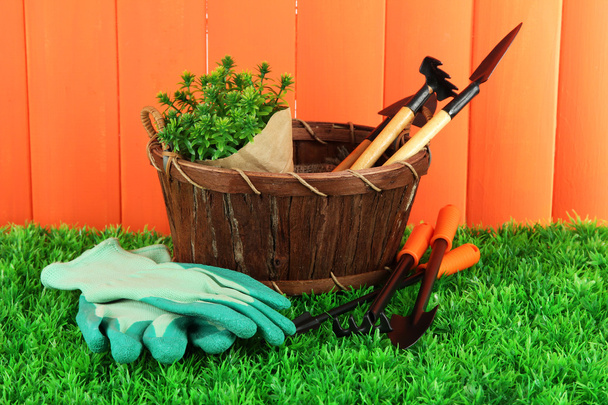 Garden tools on grass in yard - Fotoğraf, Görsel