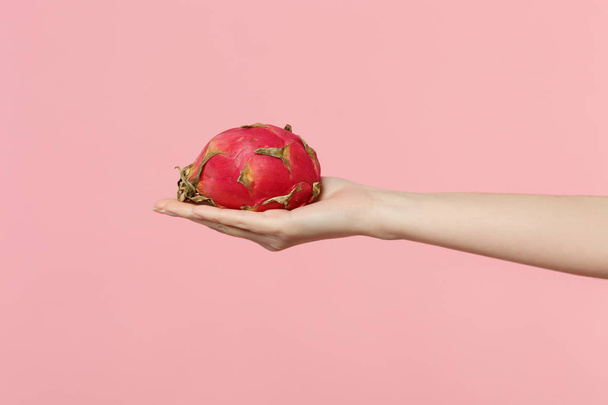 Close up cropped photo of female hold in hand fresh ripe pitahaya, dragon fruit isolated on pink pastel wall background. Copy space advertising mock up. People vivid lifestyle, relax vacation concept. - Fotoğraf, Görsel