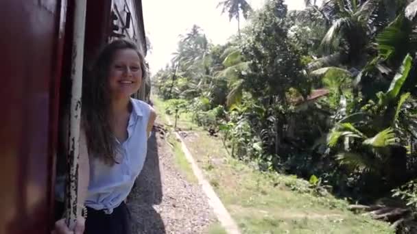 Portrait of a beautiful cheerful woman enjoying the train trip.  - Πλάνα, βίντεο