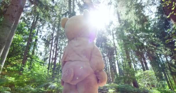 hombre disfrazado de oso mira hacia adelante, el sol brilla en los ojos
 - Metraje, vídeo