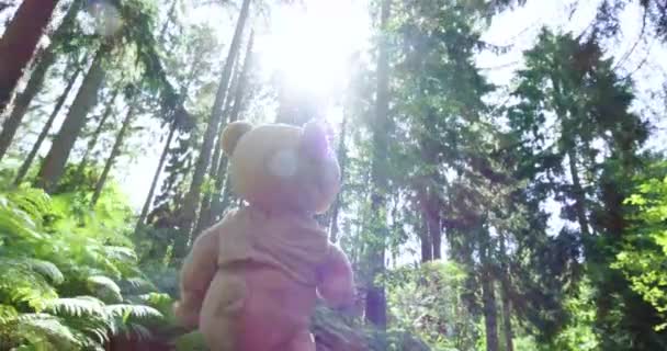 man in vermomming van een beer loopt in het bos in volle zon - Video
