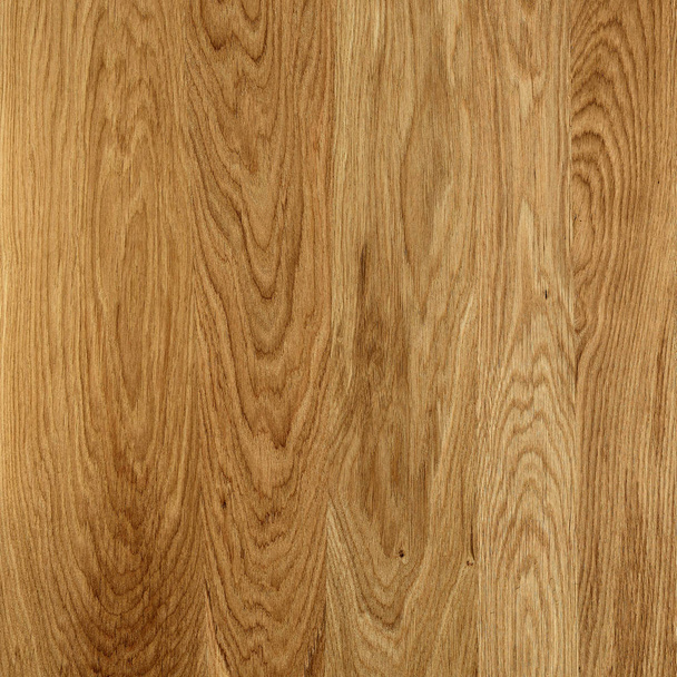 A fragment of a wooden panel hardwood. Oak. - Foto, Bild
