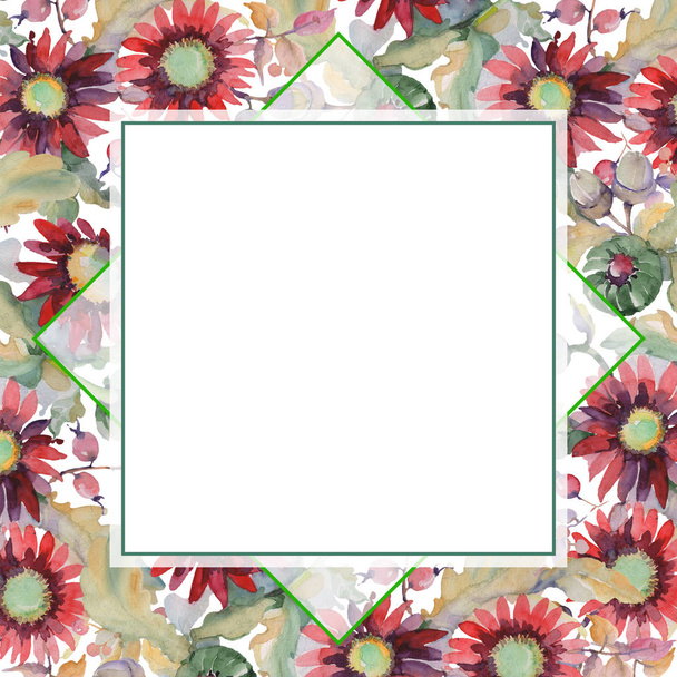 Rote Aster und Eichel Strauß botanische Blumen. Aquarell Hintergrundillustration Set. Rahmen Rand Ornament Quadrat. - Foto, Bild