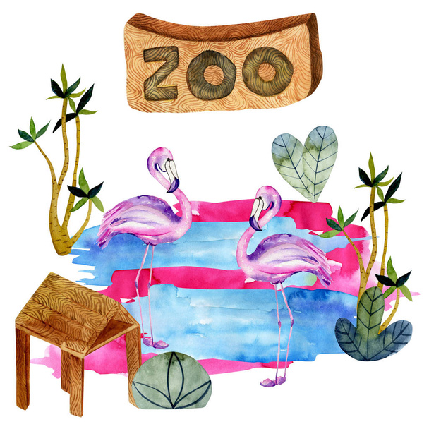 Aquarell-Illustration des Flamingos im Zoo, isolierte Szene handgezeichnet auf weißem Hintergrund - Foto, Bild