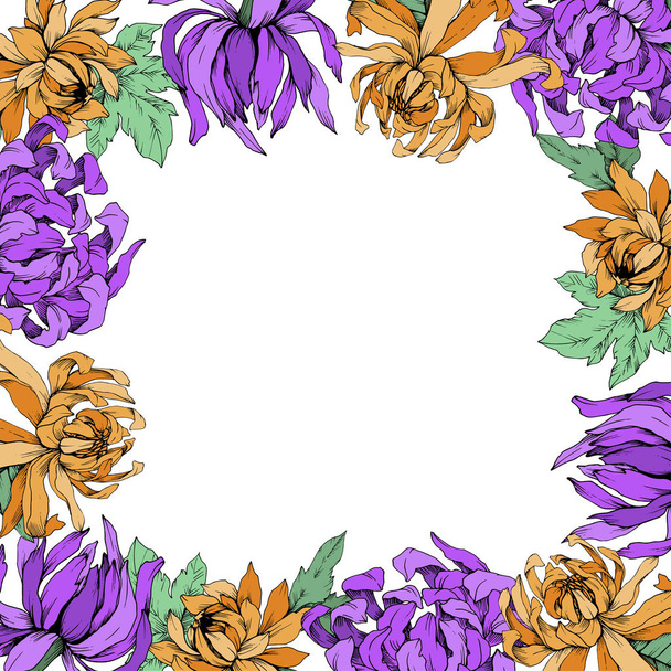 菊の花植物花をベクトルします。刻まれたインク アート。フレーム枠飾りスクエア. - ベクター画像