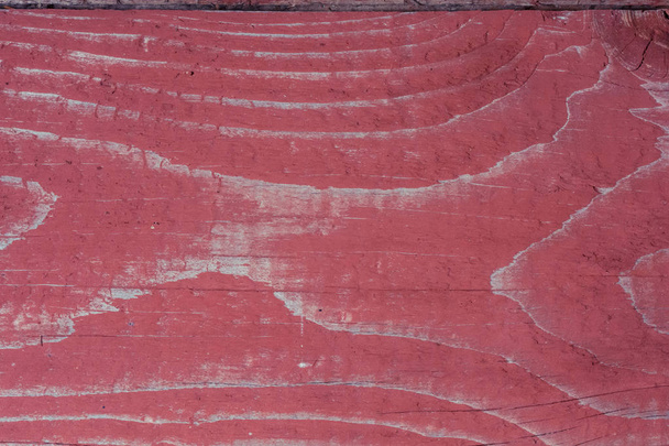 Closeup of wood pattern, natural texture, abstract background  - Fotó, kép