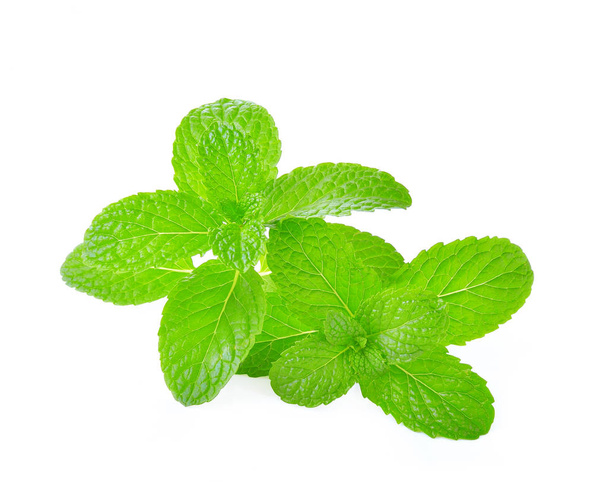 Mint leaf close up on a white background - Photo, Image