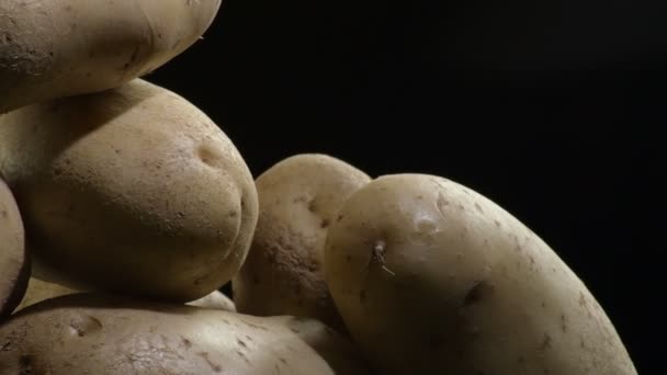 Natuurlijke aardappelen draaiend op zwarte achtergrond. Solanum tuberosum - Video