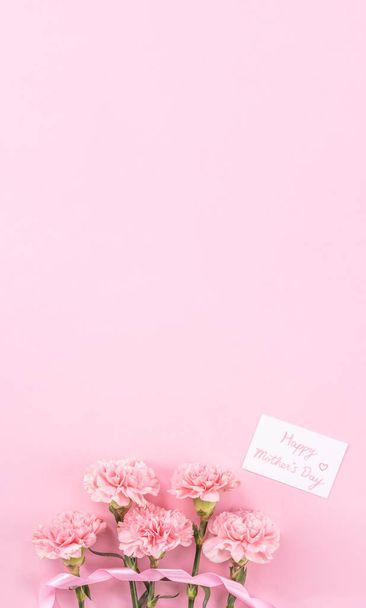 Top view, flay lay, copy space, close up, mock up, mothers day thanks design concept. Beautiful fresh blooming baby pink color carnations isolated on bright pink background - Foto, Imagem