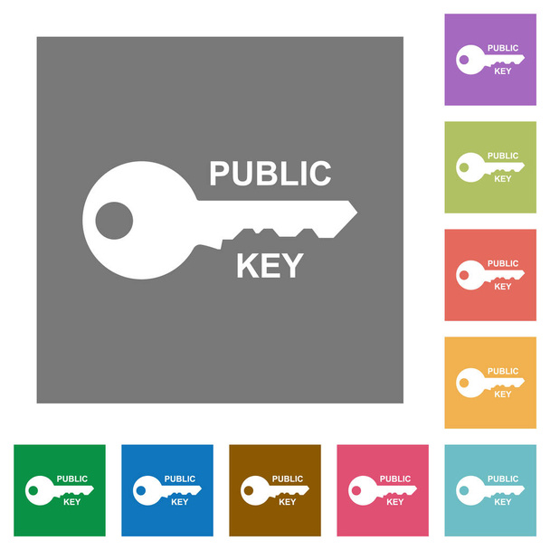 Public key square flat icons - Vector, Image