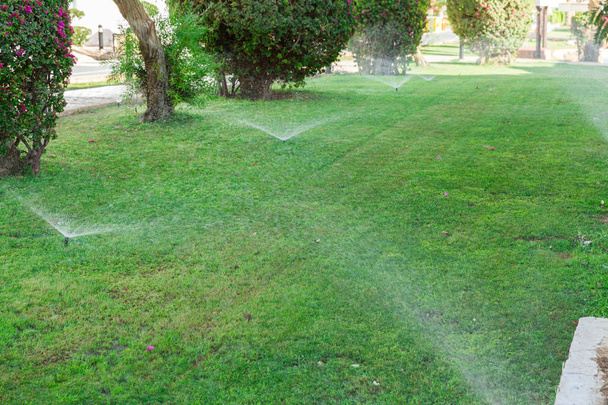 Sprinkler in garden watering the lawn. Automatic watering lawns concept - Photo, Image