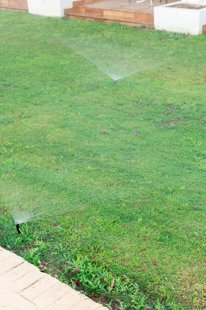 芝生に散水庭のスプリンクラー。自動散水芝生の概念 - 写真・画像