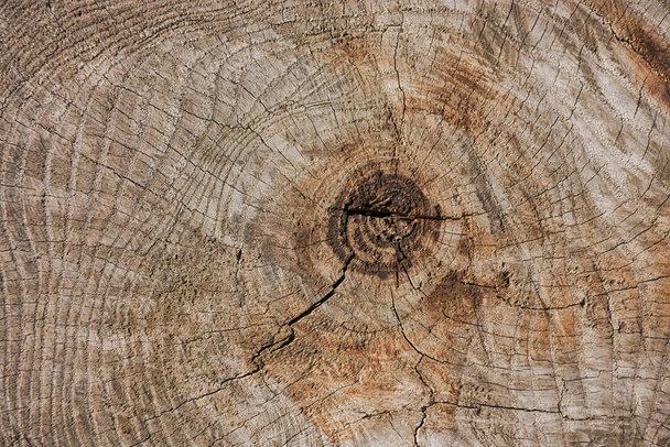 Fundo de textura de madeira velha. Textura de madeira castanha centenária
 - Foto, Imagem