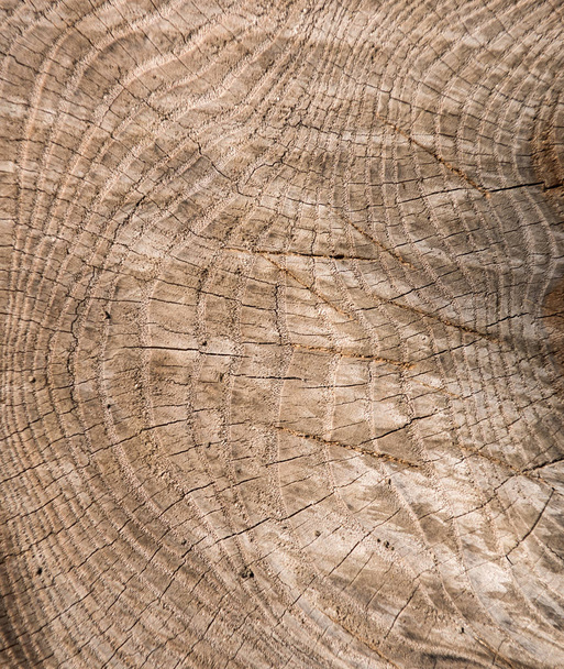 Vanha puinen rakenne tausta. 100 vuotta ruskea puu rakenne
 - Valokuva, kuva